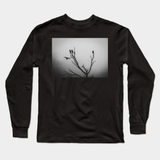 A perch in the mist Long Sleeve T-Shirt